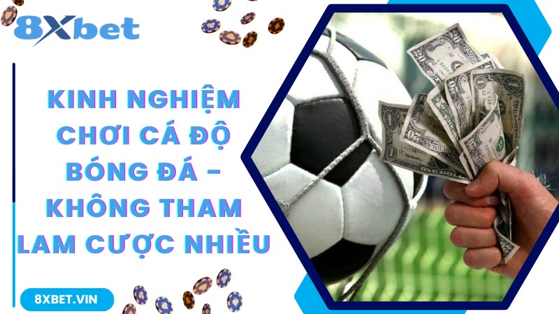 Kinh nghiệm chơi cá độ bóng đá - không tham lam cược nhiều